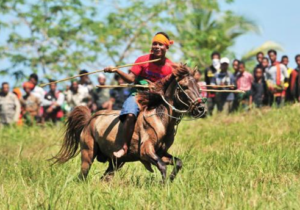 Spectacular ritual during our Book 4 Day Sumba Pasola Festival Tour