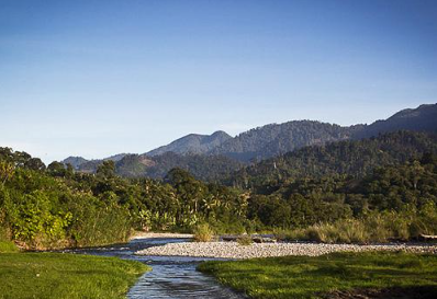 Spot majestic wildlife in their ancient jungle home.