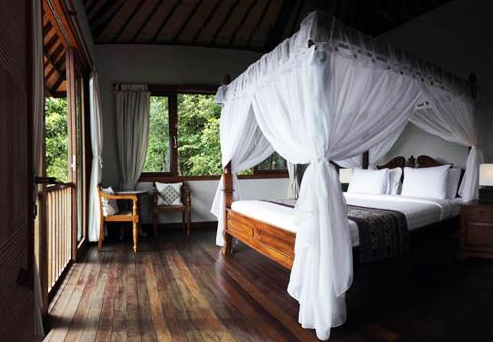 Stunning valley view from the balcony 3