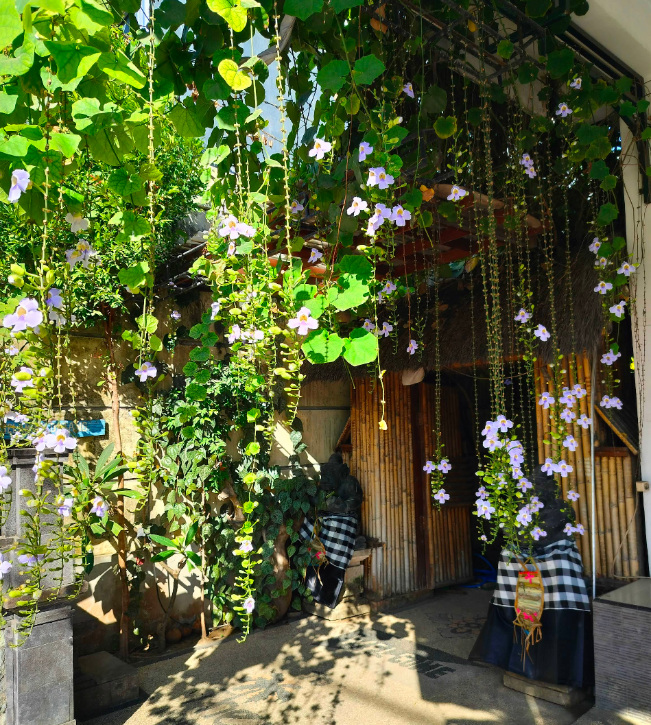 The Mel Homestay entrance and lush garden 9
