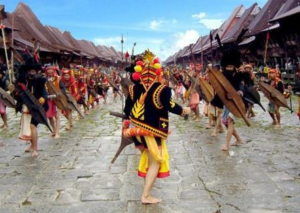Ultimate Heritage: Book 3 Day Nias Island Village Tour 1 Traditional village during our Book 3 Day Nias Island Village Tour