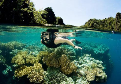Travelers looking to book 5 day Raja Ampat tour visiting Kri Island