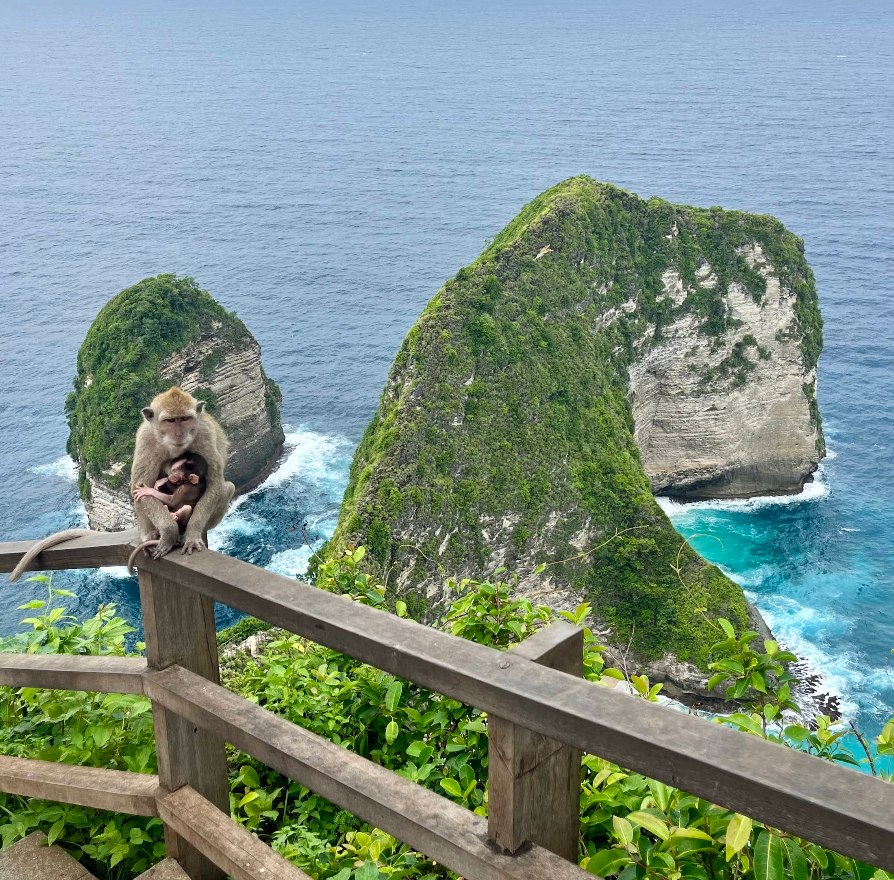 View of West Nusa Penida sunset views from this Sakti eco-resort. 13
