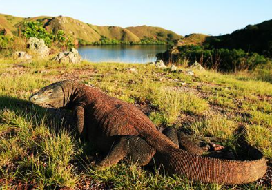 Wae Rebo Village - Komodo Tour Package 6 Days 5 Nights