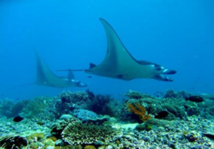 Wae Rebo Village - Komodo Tour Package 6 Days 5 Nights