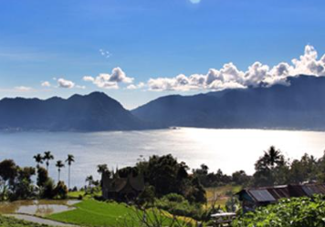 Witness majestic Orangutans in their natural rainforest habitat.