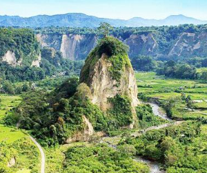 Witness majestic Orangutans in their natural rainforest habitat.