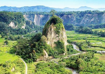 Witness majestic Orangutans in their natural rainforest habitat.