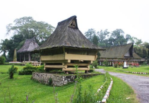 an Orangutan in Leuser Park or Samosir Island