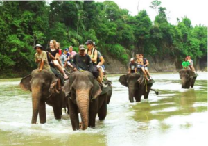 book-7-days-6-nights-tangkahan-tour-b