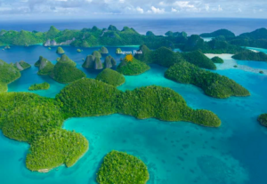 book 9 day papua raja ampat tour package 8