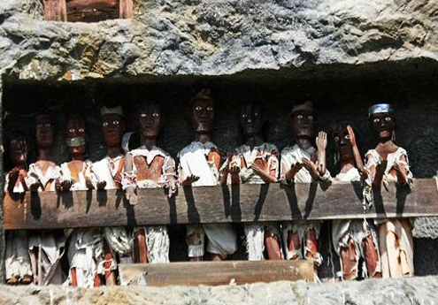 book-toraja-culture-and-nature-tour-5d4n