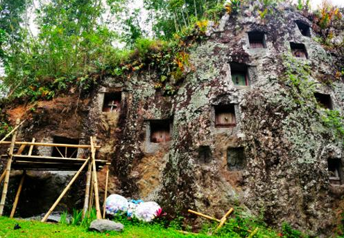 rafting experience or a traditional Tongkonan house