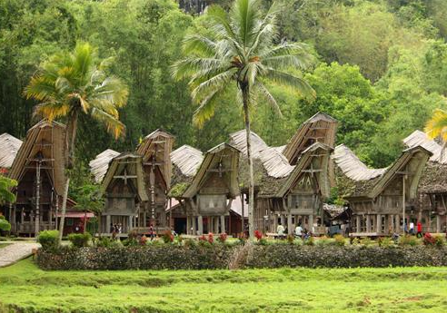 the Lemo Hanging Graves or Tarra Trees