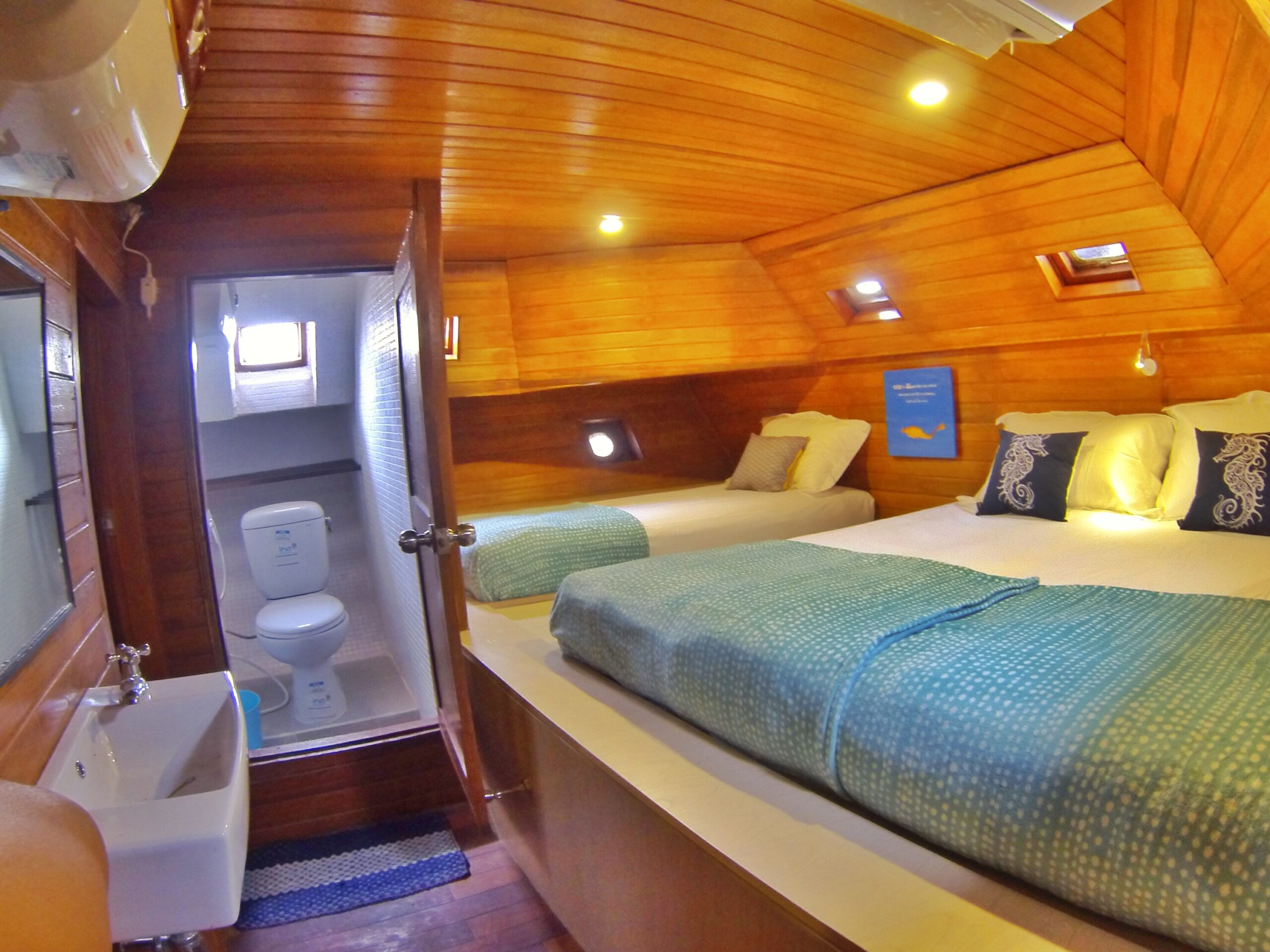 Express Komodo Tour Padar Pink Beach 2026