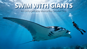 Purchase Nusa Penida All-Inclusive Snorkel Day Trip