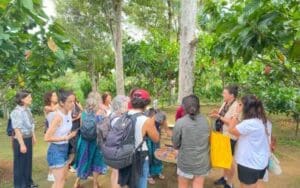 Chocolate Tour Bali