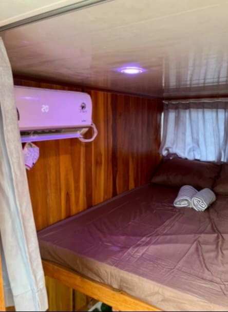 lombok to komodo boat tour with whale shark